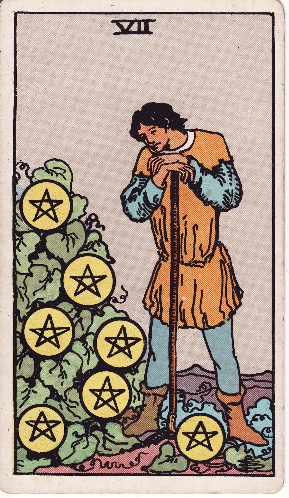 Seven of Pentacles (Vi)