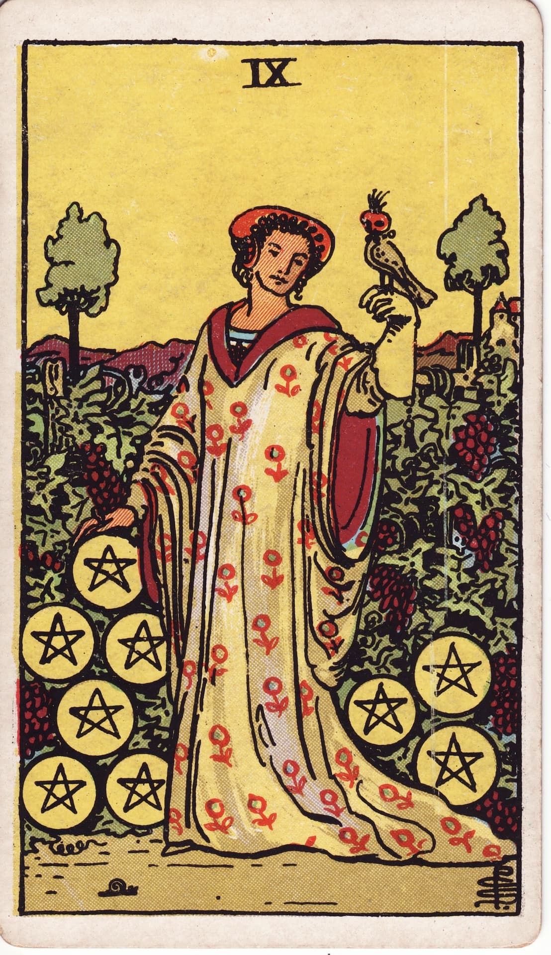 Nine of Pentacles (Vi)