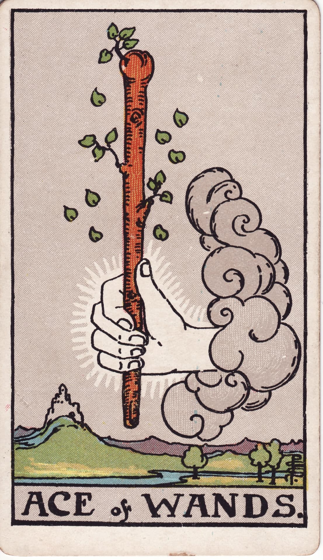 Ace of Wands (Vi)